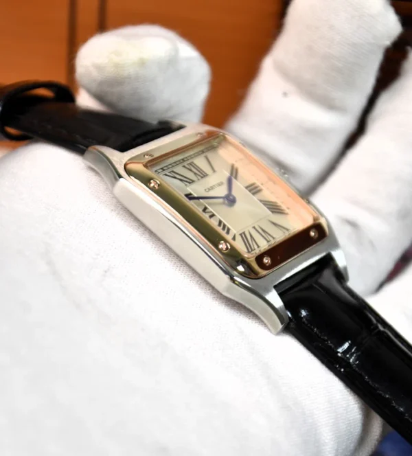 Cartier Dumont Premium Mens Watch